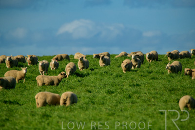 October 2022 / Mt-Shank-221017-6246