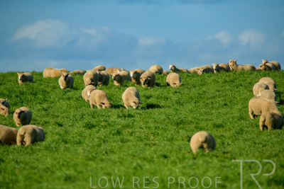 October 2022 / Mt-Shank-221017-6254