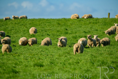 October 2022 / Mt-Shank-221017-6268