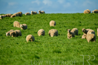 October 2022 / Mt-Shank-221017-6273