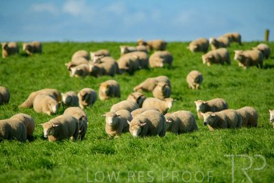 October 2022 / Mt-Shank-221017-6311