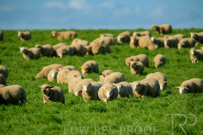 October 2022 / Mt-Shank-221017-6312