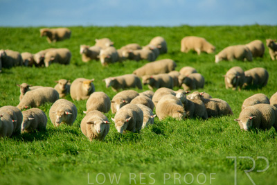 October 2022 / Mt-Shank-221017-6316