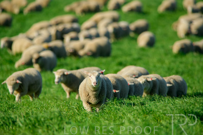 October 2022 / Mt-Shank-221017-6347