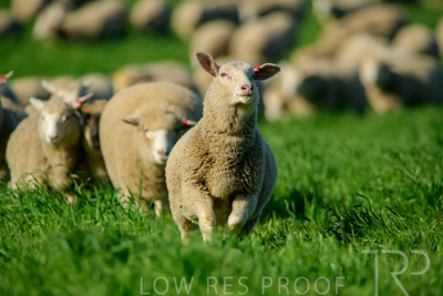 October 2022 / Mt-Shank-221017-6379