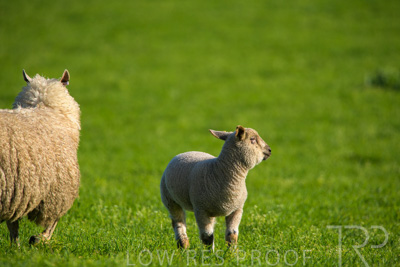 October 2022 / Mt-Shank-221017-6453