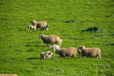 October 2022 / Mt-Shank-221017-6464