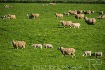 October 2022 / Mt-Shank-221017-6471