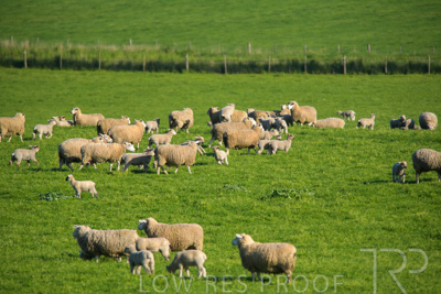 October 2022 / Mt-Shank-221017-6490