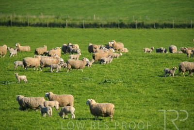 October 2022 / Mt-Shank-221017-6497