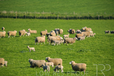 October 2022 / Mt-Shank-221017-6501