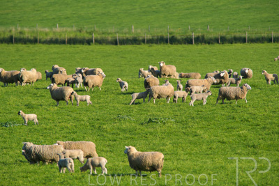 October 2022 / Mt-Shank-221017-6504