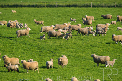 October 2022 / Mt-Shank-221017-6506