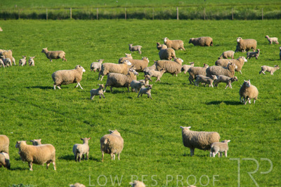 October 2022 / Mt-Shank-221017-6509