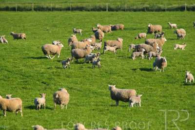 October 2022 / Mt-Shank-221017-6511