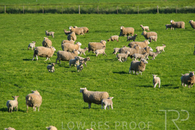 October 2022 / Mt-Shank-221017-6513