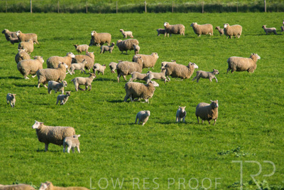 October 2022 / Mt-Shank-221017-6517