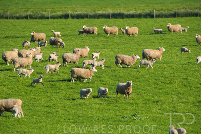 October 2022 / Mt-Shank-221017-6520