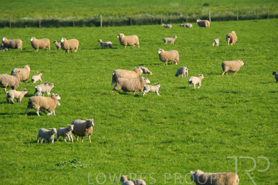 October 2022 / Mt-Shank-221017-6524