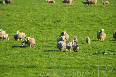 October 2022 / Mt-Shank-221017-6536