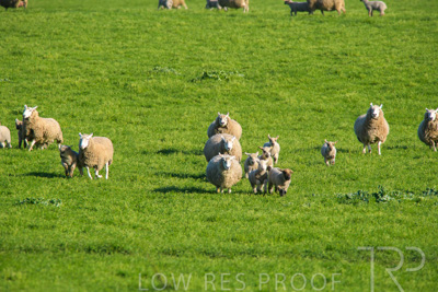 October 2022 / Mt-Shank-221017-6538