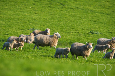 October 2022 / Mt-Shank-221017-6551