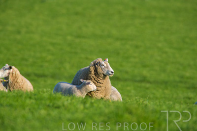 October 2022 / Mt-Shank-221017-6573