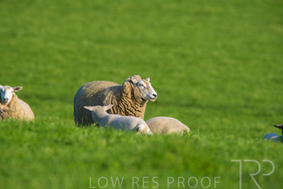 October 2022 / Mt-Shank-221017-6580