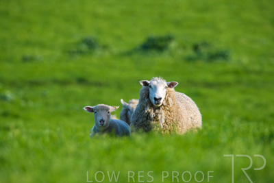 October 2022 / Mt-Shank-221017-6599