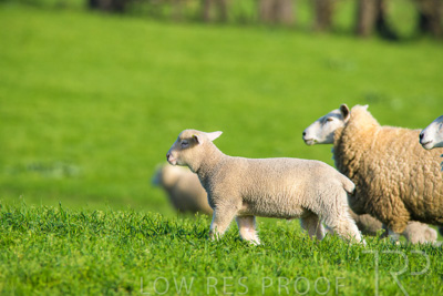 October 2022 / Mt-Shank-221017-6648