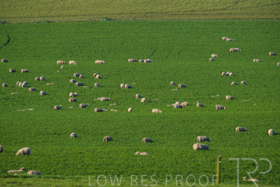 October 2022 / Mt-Shank-221017-6659