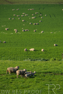 October 2022 / Mt-Shank-221017-6670