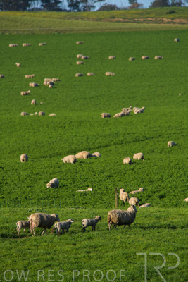 October 2022 / Mt-Shank-221017-6685