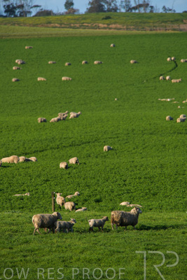 October 2022 / Mt-Shank-221017-6695