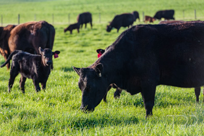 October 2022 / Mt-Shank-221017-6875