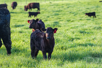 October 2022 / Mt-Shank-221017-6884