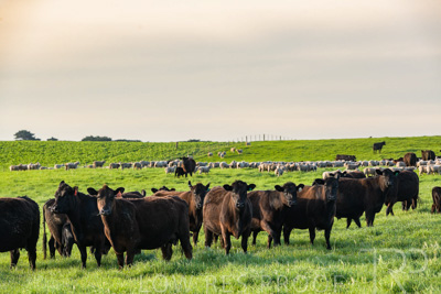 October 2022 / Mt-Shank-221017-6894