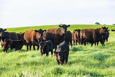 October 2022 / Mt-Shank-221017-6907