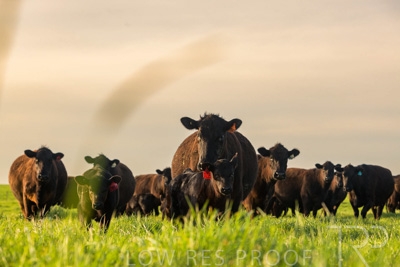 October 2022 / Mt-Shank-221017-6920