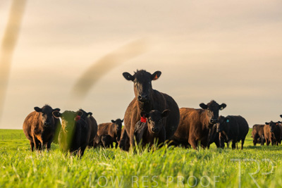 October 2022 / Mt-Shank-221017-6927