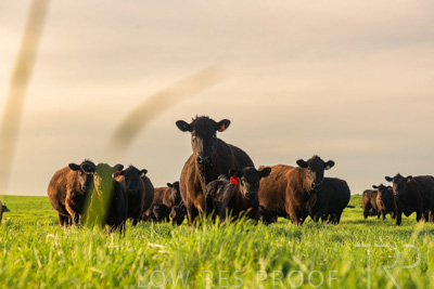 October 2022 / Mt-Shank-221017-6931