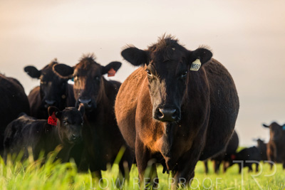 October 2022 / Mt-Shank-221017-6946