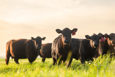 October 2022 / Mt-Shank-221017-6986