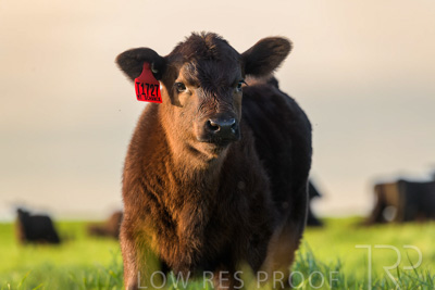 October 2022 / Mt-Shank-221017-6989