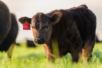 October 2022 / Mt-Shank-221017-7000