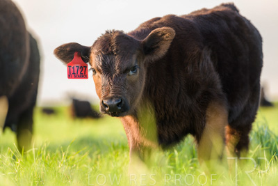 October 2022 / Mt-Shank-221017-7003