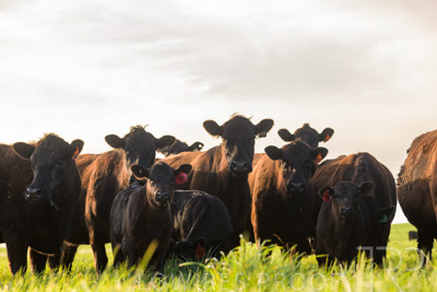 October 2022 / Mt-Shank-221017-7010