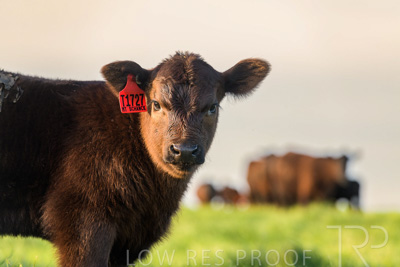 October 2022 / Mt-Shank-221017-7022