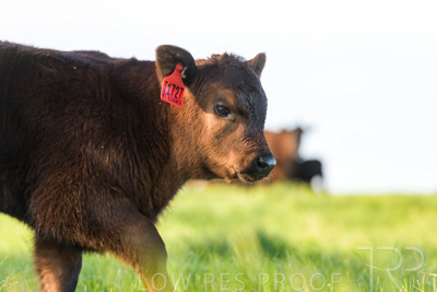 October 2022 / Mt-Shank-221017-7026