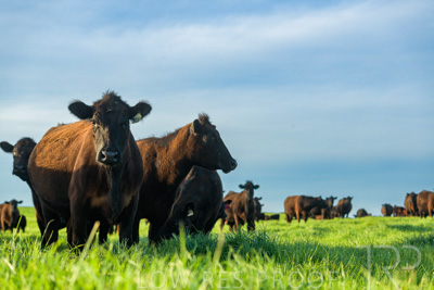 October 2022 / Mt-Shank-221017-7053